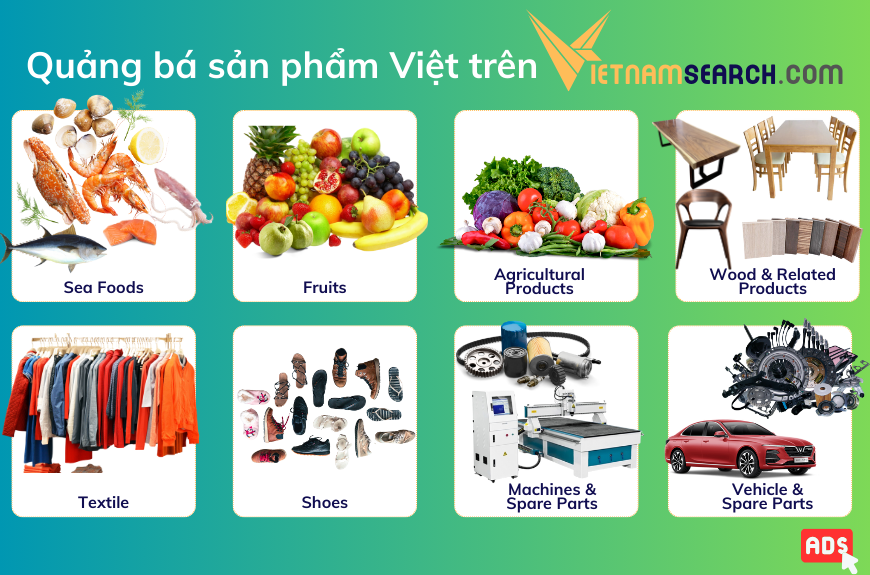 Các dịch vụ